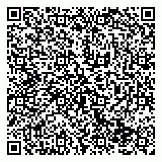 vCard 79138286385