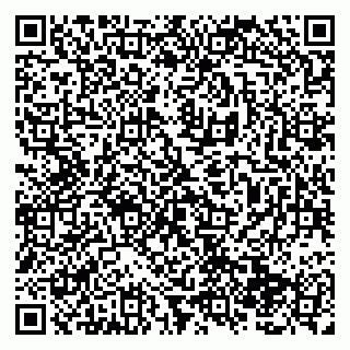 vCard 79138286397