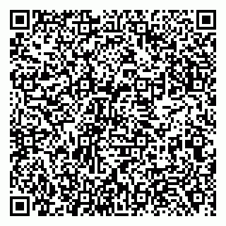 vCard 79138286399