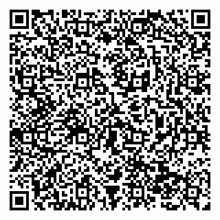 vCard 79138286403