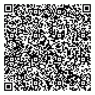 vCard 79138286404