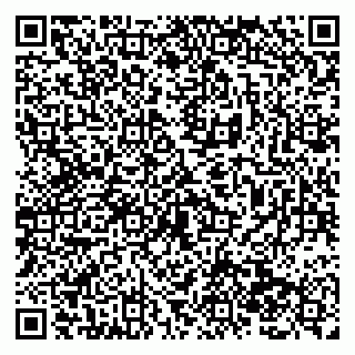 vCard 79138286405