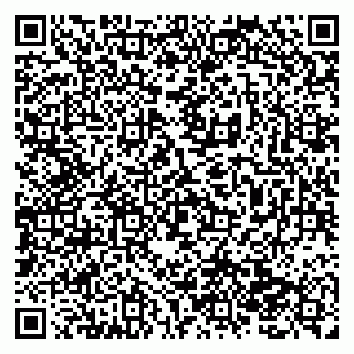 vCard 79138286502