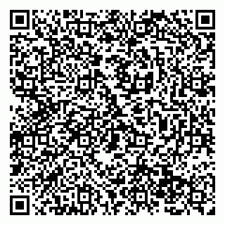 vCard 79138286604