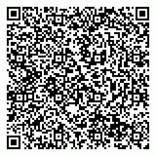 vCard 79138286629