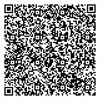 vCard 79138286702