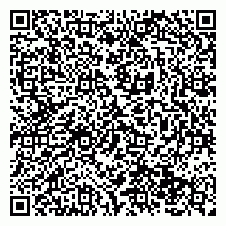 vCard 79138286704