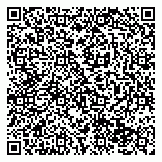 vCard 79138286705