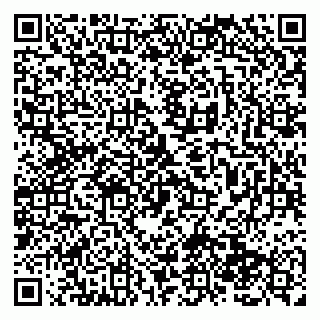 vCard 79138286708