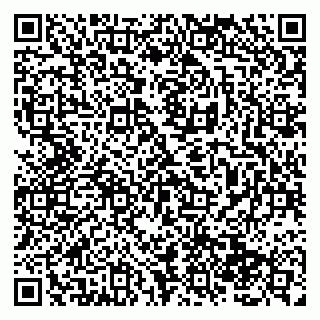 vCard 79138286751