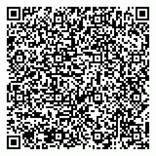 vCard 79138286754
