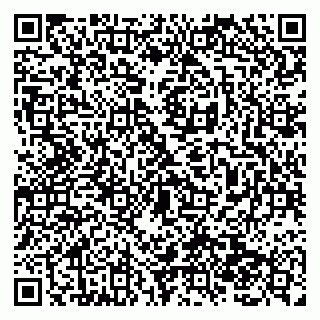 vCard 79138286802
