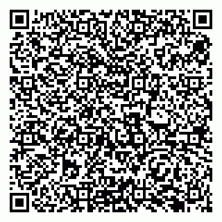 vCard 79138286909