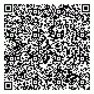 vCard 79138286945
