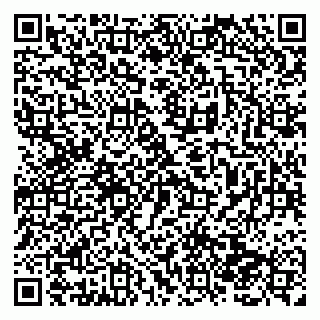 vCard 79138286971