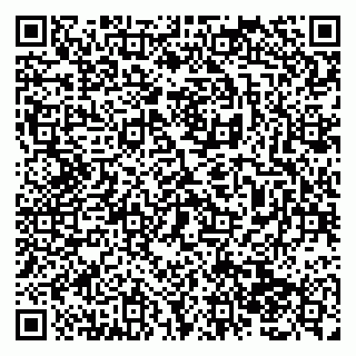vCard 79138287002