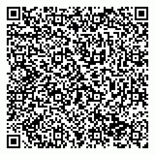 vCard 79138287108