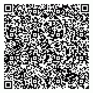 vCard 79138287131