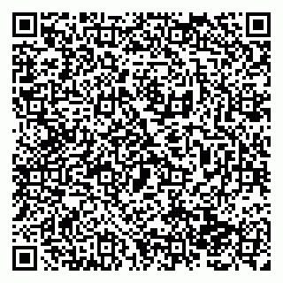 vCard 79138287138