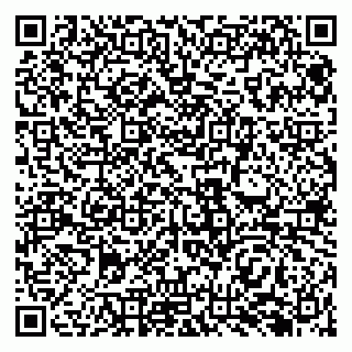 vCard 79138287167