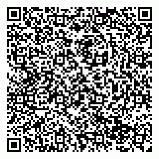 vCard 79138287232