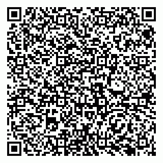 vCard 79138287247