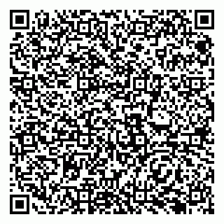 vCard 79138287293