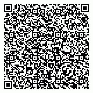 vCard 79138287294