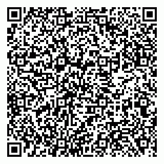 vCard 79138287303