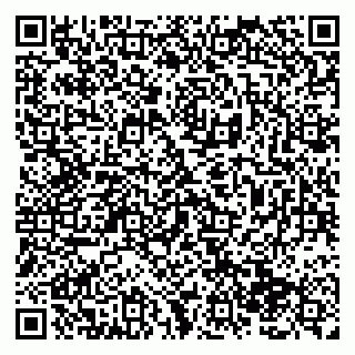 vCard 79138287366