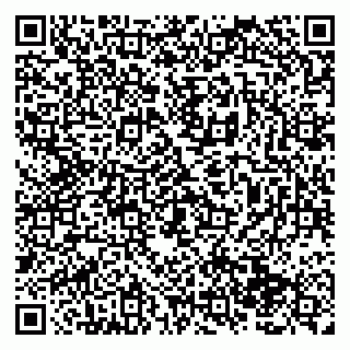 vCard 79138287367