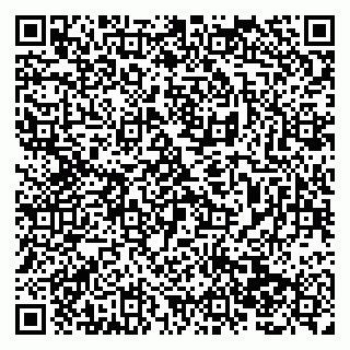 vCard 79138287429