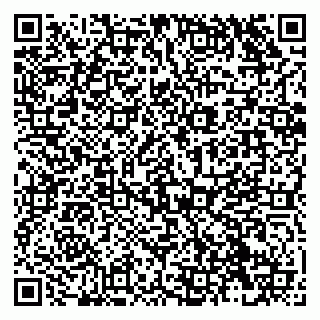 vCard 79138287455