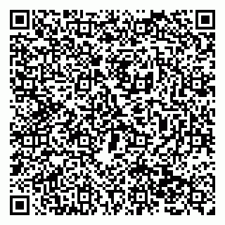 vCard 79138287465