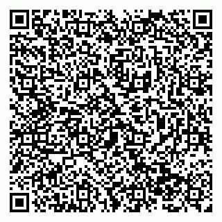 vCard 79138287489