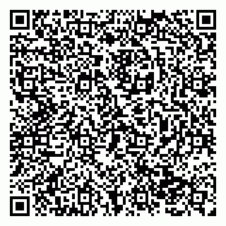 vCard 79138287553