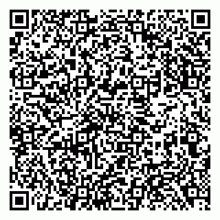 vCard 79138287635