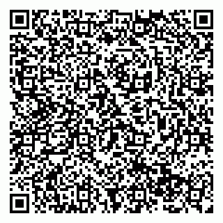 vCard 79138287698