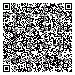vCard 79138287724