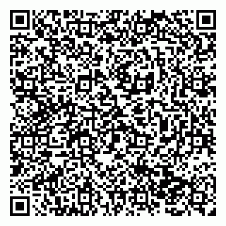 vCard 79138287902