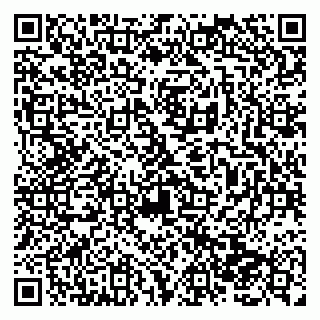 vCard 79138287906