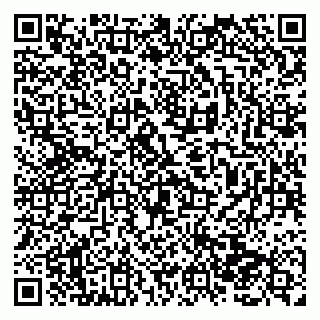 vCard 79138287945