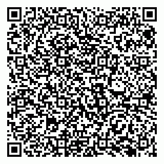vCard 79138288167