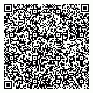 vCard 79138288178