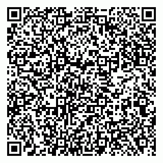 vCard 79138288191