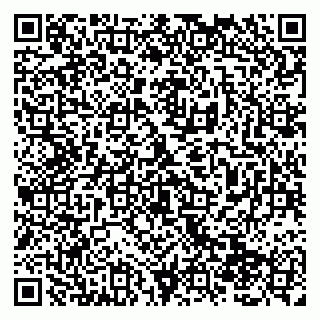 vCard 79138288232