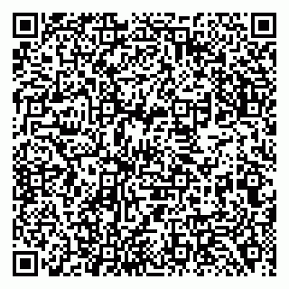 vCard 79138288239