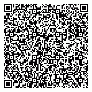 vCard 79138288243