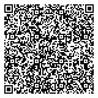 vCard 79138288263