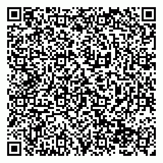 vCard 79138288293